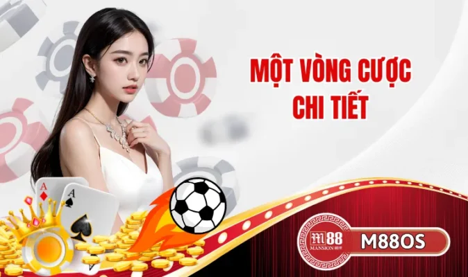 Một vòng cược chi tiết